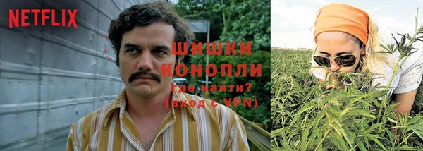 дживик Беломорск