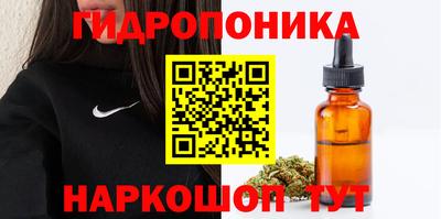 индика Шелехов