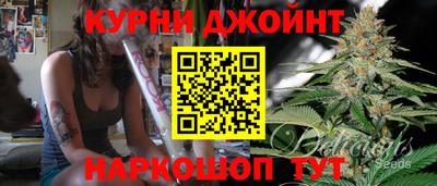 индика Шелехов