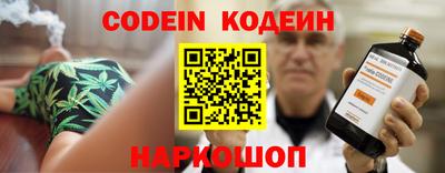 индика Шелехов