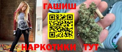 индика Шелехов