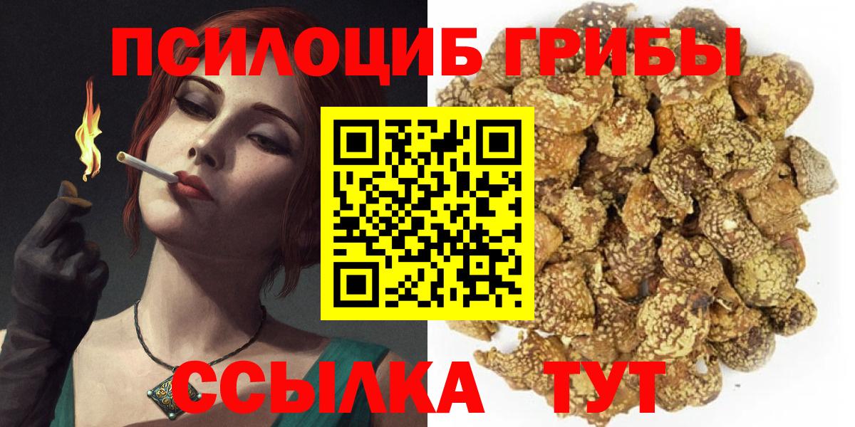 Псилоцибиновые грибы мицелий  закладки  Кушва  Вход с VPN 