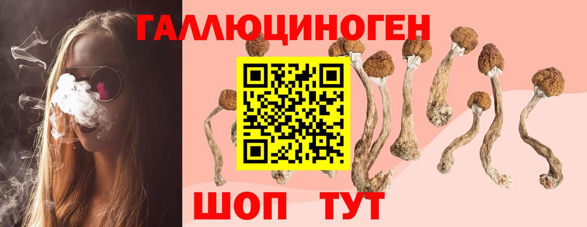 Кушва  Вход с VPN  Каннабис  МЕФ кристаллы  ЭКСТАЗИ  Гашиш  A-PVP СК кристаллы  NBOMe 